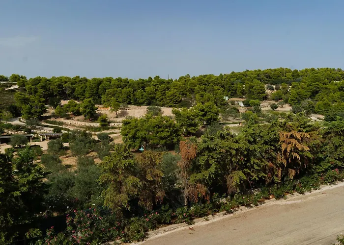 Iliana Exclusive - Private Pool * Porto Cheli